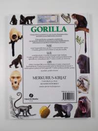Gorilla