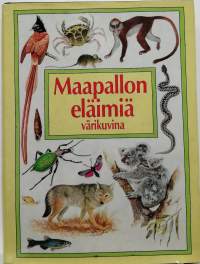 Maapallon eläimiä värikuvina. (Eläimet)