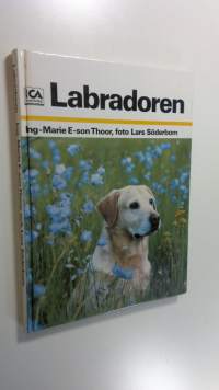 Labradoren