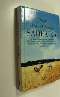 Sadeaika (ERINOMAINEN)