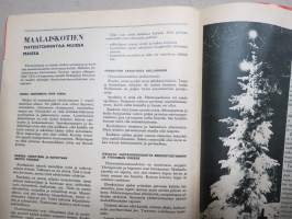 Maatalousnainen 1969 nr 12 Joulunumero, Maatilojen luonnonsuojelu, Perniön nukke ja Yliskylän emännän korut, Katajasta kaunista, Euran Maatalousnaiset 40 vuotta, ym.