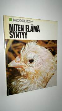 Miten elämä syntyy