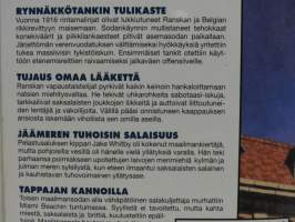 Korkeajännitys 5 / 2007