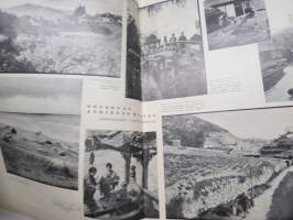 Nuorison Joulu 1931 -joululehti, Kilpalento tähtitarhan halki peliphja -takakansi, Kuvittanut Hugo Trentzsch, Eva Hirn, Anni kaste, Kaarle Halme - Jouluvarsa, ym.
