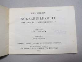 Nokkahuilukoulu