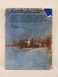 Holly Hobbie : kadonnutta etsimässä