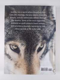 North American Wildlife