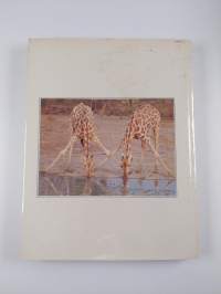 Animal Wonders of the World