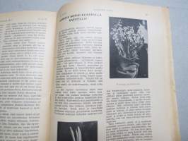 Naisten Ääni 1910 jolunumero -naisasialiikkeen äänenkannattaja