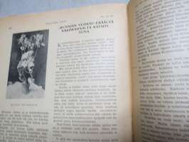 Naisten Ääni 1910 jolunumero -naisasialiikkeen äänenkannattaja