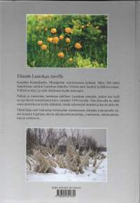 Metsäpirtin Saaroinen- Elämää Laatokan äärellä