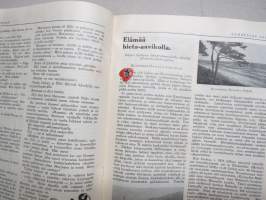 Säästäjän Joulu 1933 -joulunumero, Kansikuvitus Doris Lindh, Heikki Asunta, Thomas alva Edison, Dagapajun vaurastuminen, Tulipalo Nukkelassa, Nille Mesiläinen, ym.