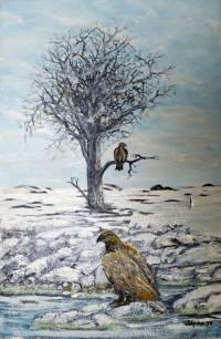 Tuntematon taiteilija,   &quot;Merikotkat&quot; öljyvärimaalaus kankaalle   sign -70   koko 60x40 cm kehystämätön