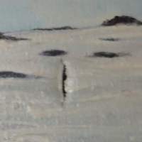 Tuntematon taiteilija,   &quot;Merikotkat&quot; öljyvärimaalaus kankaalle   sign -70   koko 60x40 cm kehystämätön