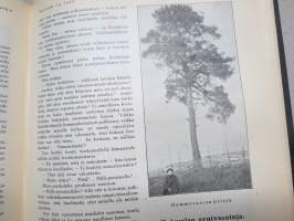 Helsingin Kaiku 1910 sidottu vuiosikerta, erittäin monipuoset artikkelit ja runsas kuvitus, paljon mainoksia
