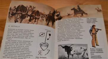 Villi Länsi - Pienet suuret kirjat