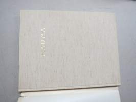 Rauma -kuvateos / picture book