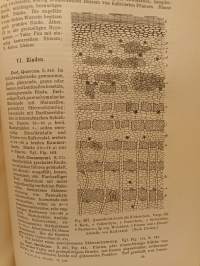 Lehrbuch der Botanik