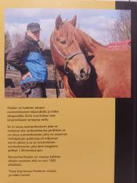 Viesker - kaikkien aikojen ravihevonen