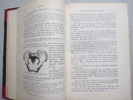 Lehrbuch der Geburtshilfe 1884 - Carl von Heidecken henkilökohtainen kappale, nimikirjoitus &amp; Ex Libris