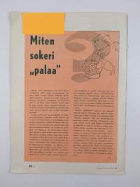 Terveys 11/1958 : terveyttä koteihin