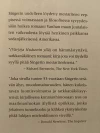Varjoja Hudsonin yllä