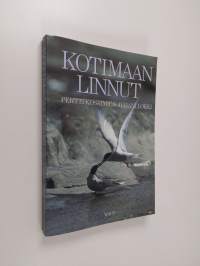 Kotimaan linnut