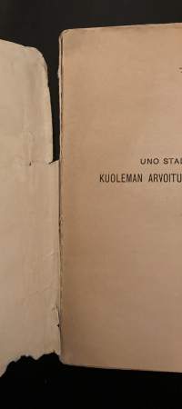 Kuoleman arvoituksen edessä - Katsaus sielunelämän tutkimuksiin