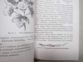Verhoilu ja sen tarveaineet - NÄKÖISPAINOS