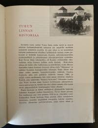 Turun linna