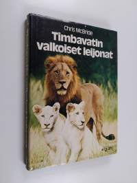 Timbavatin valkoiset leijonat