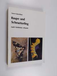 Raupe und Schmetterling - nach Farbfotos erkannt