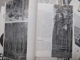 HISC - Helsinki International Student Club Information - julkaisuja vv. 1963-65 16 kpl, opiskelijoiden kansainvälisen toiminnan lehtiä, mukana mm. Martti Ahtisaari