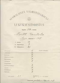 Suomalainen Valmistava-koulu, lukukausitodistus Tampere 1917  todistus