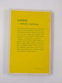Lassie : seikkailu vuoristossa