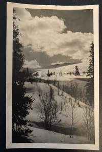 Yllästunturi, Varkaankuru - Kulkenut kortti