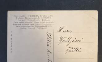 Ruovesi - Metsä-oja - Kulkematon, mutta kirjattu kortti