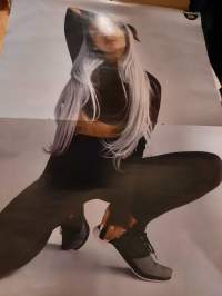 Juliste Ariana Grande / Japanilainen bändi (SYSTERI-juliste)