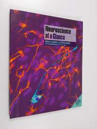 Neuroscience at a glance