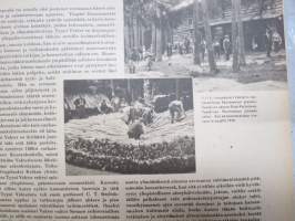 Kotiliesi 1946 nr 6, 15.3.1946, Suomalaisten Marianpäivä, Työtuolimallistoa, Tyyni Vahter 60 v. - Seurasaaren intendentti, Jälleen tavaroita!, Muotikuvia, Juurikkaat