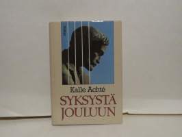 Syksystä jouluun - Aleksis Kivi psykiatrin silmin