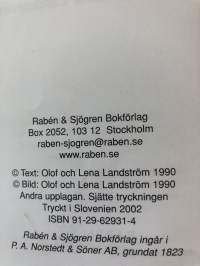 Nisses nya mössa.