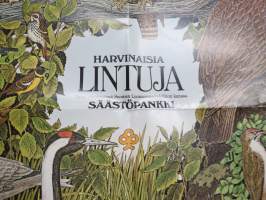 Harvinaisia lintuja - Säästöpankit 1974 -juliste
