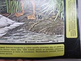 Harvinaisia lintuja - Säästöpankit 1974 -juliste