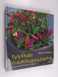 Tyylikäs ruukkupuutarha