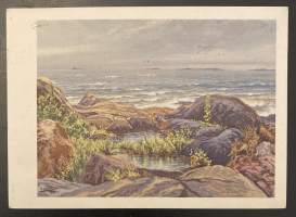 Merimaisema, Suomi - Finland 119/6 - Kulkenut kortti
