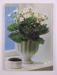 Kodin kukat : Valkoiset ruukkukukat