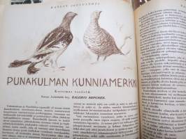 Kansan Kuvalehti 1928 -vuosikerta, erinomaista ajankuvaa runsaasti kuvitettuna, Mika Waltari autoruno!, Erikoisnumeroita, katso kohteen 95 kuvaa