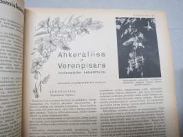 Kotiliesi 1935 nr 7, 1.4.1935 Kansi Martta Wendelin, Kenkämallistoa, Ellinor Ivalo koti, Muutama sana sterilisoimisesta ja -laista, Sairashuone ja -vuode, ym.