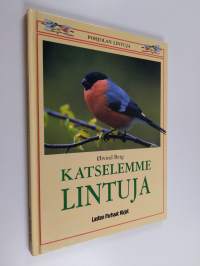 Katselemme lintuja